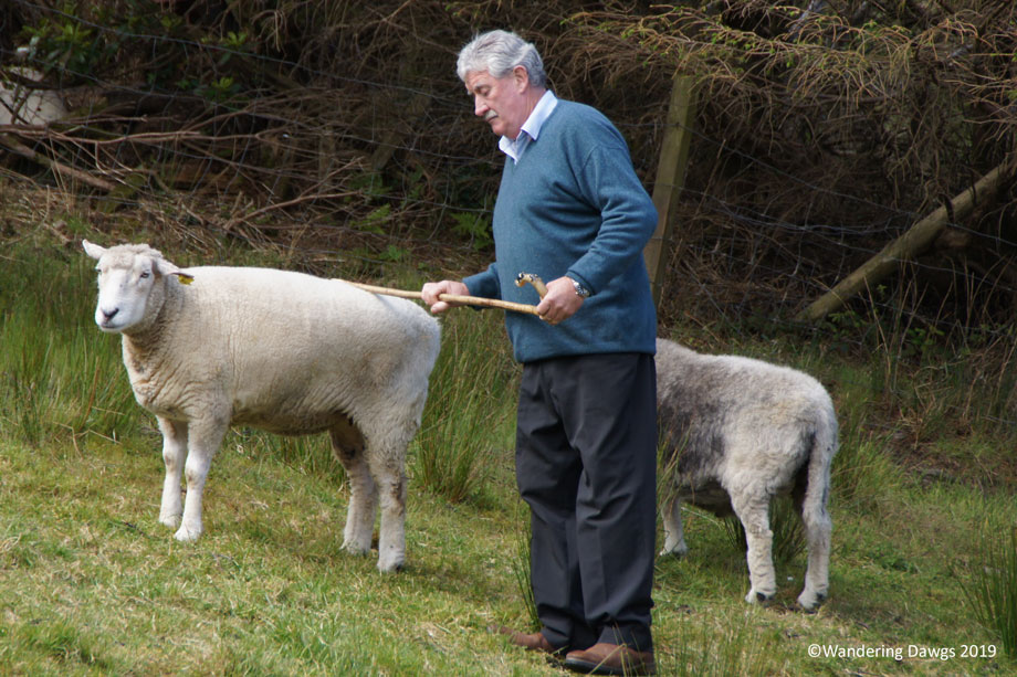 20190509-Day-9-Ring-of-Kerry-Sony-(69)