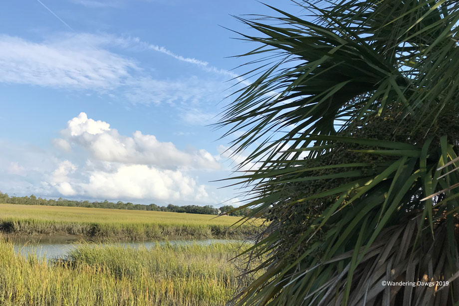 20191005-Span-Ham-Morning-(8)