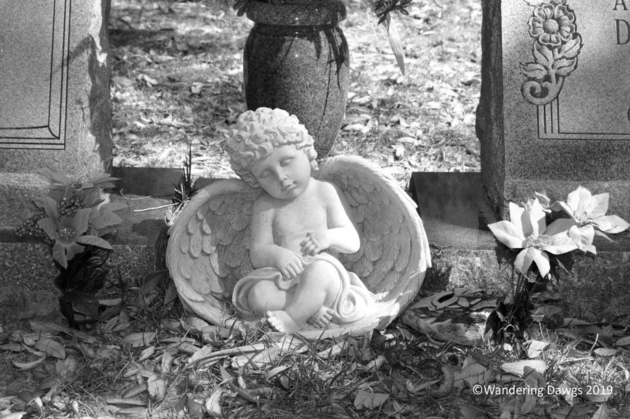 20140401-Bonaventure-(135)