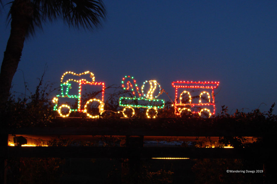 20071227Christmas-Lights-(10)