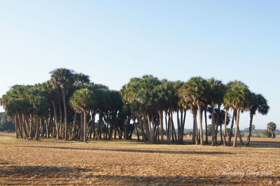 20120110The-Glades-(1)