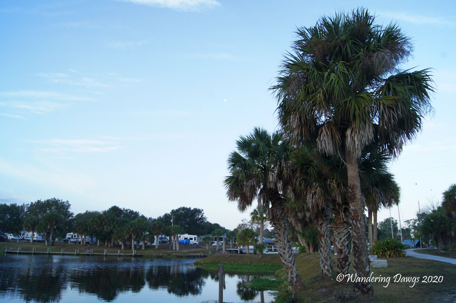 20120113The-Glades-(1)