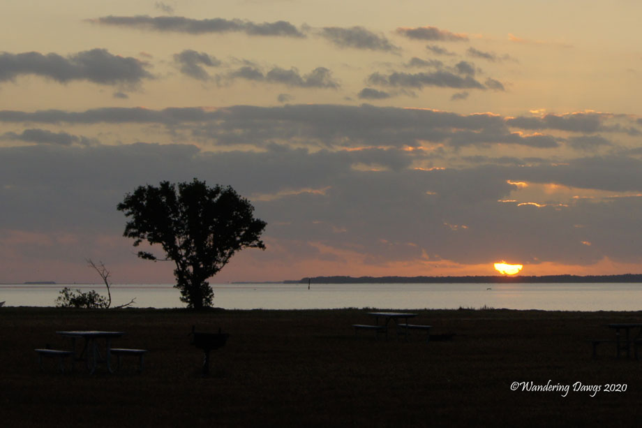 20120117Flamingo-(15)