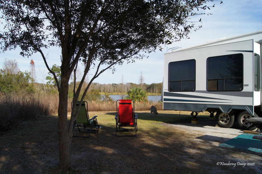 20120122Alafia-River-(2)