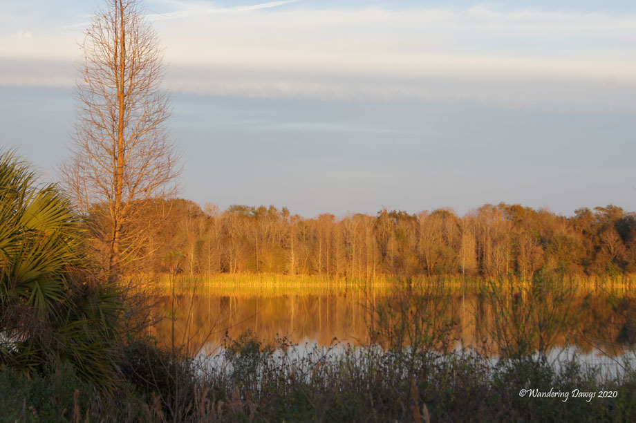 20120122Alafia-River-(3)