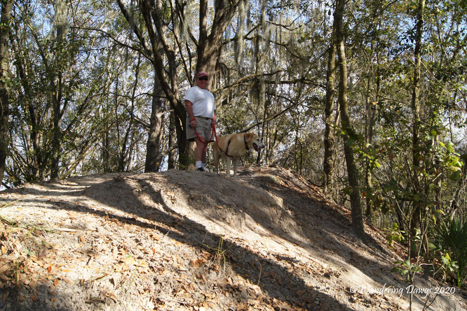 20120124Alafia-River-(11)