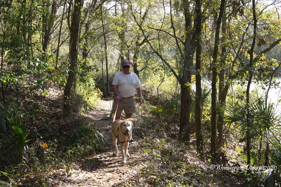 20120124Alafia-River-(16)