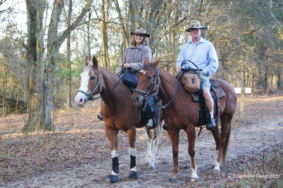 20120124Alafia-River-(4)