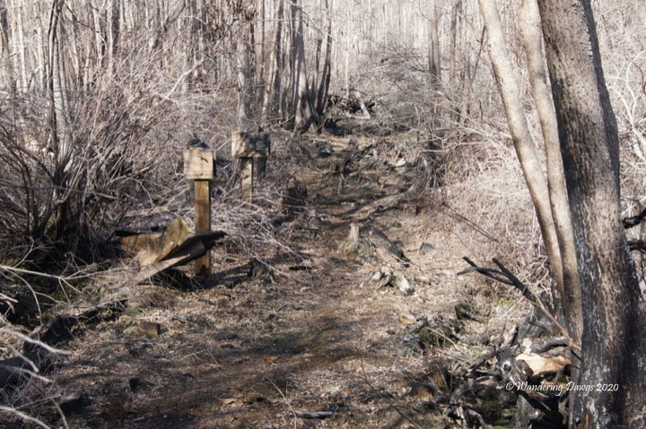 20120130 Stephen C Foster (2)