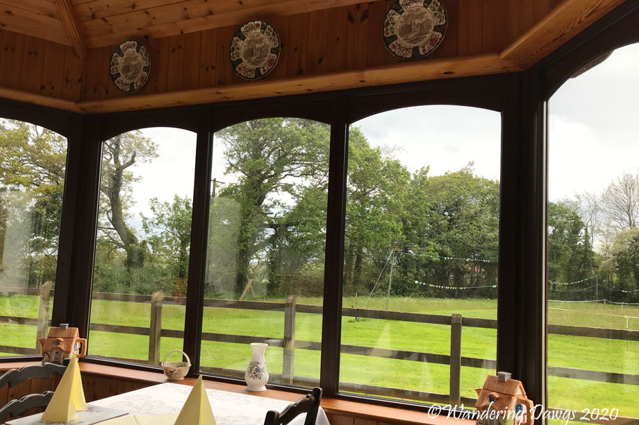 20190507-Day-7-Dingle-Peninsula-drive-to-Killarney-IPhone-(58)