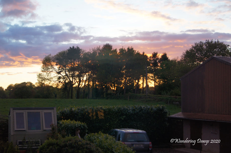 20190510-Day-10-Ross-Castle-Killarney-to-Blarney-Sony-(62)