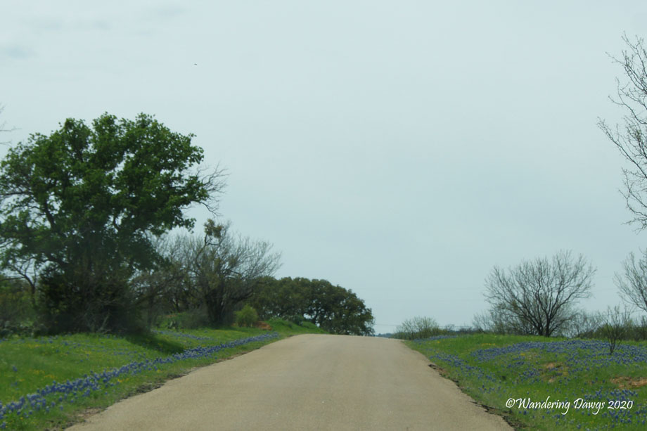 20150331Day-25pm-Willow-City-Loop-(45)