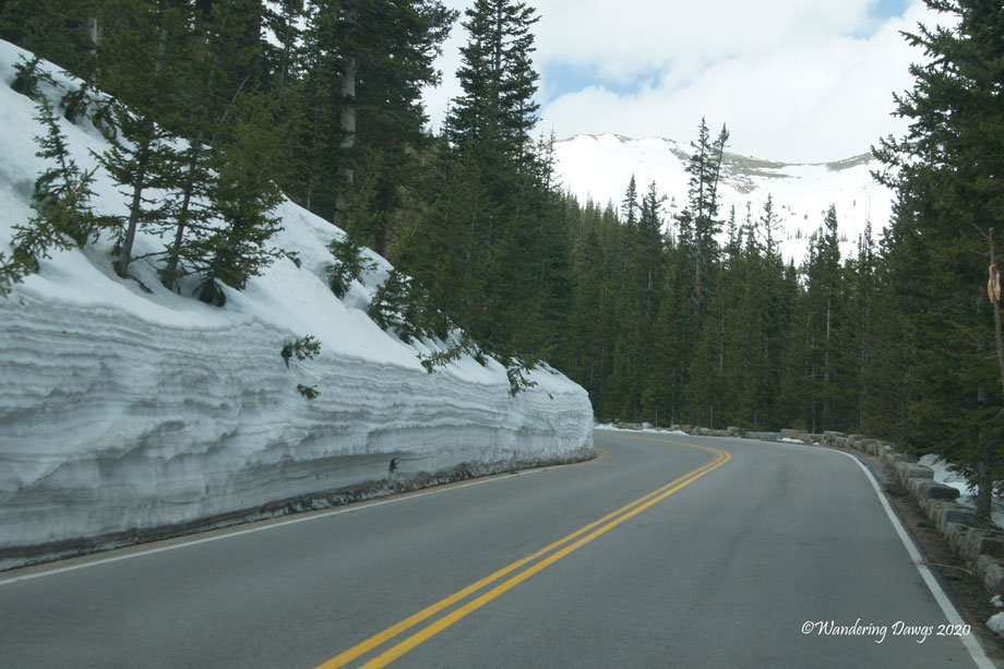 20110528Rocky-Mountain-NP-(57)