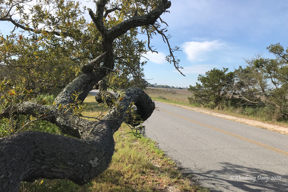 20200404-Street-(21)