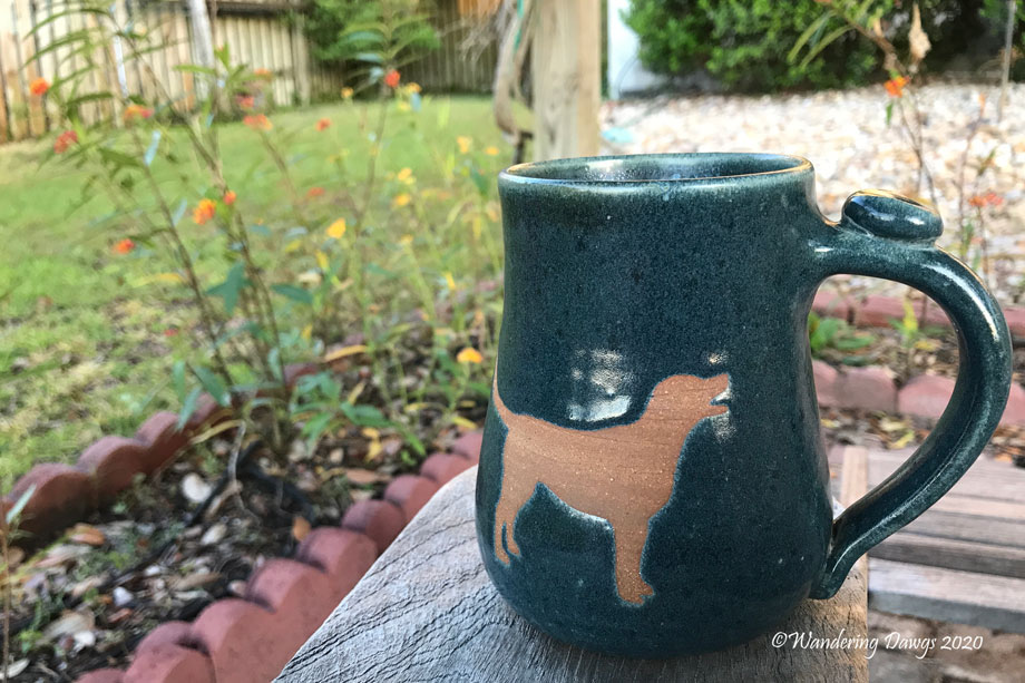 20200422-chrysalis-day-13-(1)