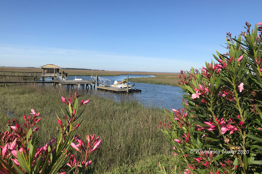 20200422-chrysalis-day-13-(6)