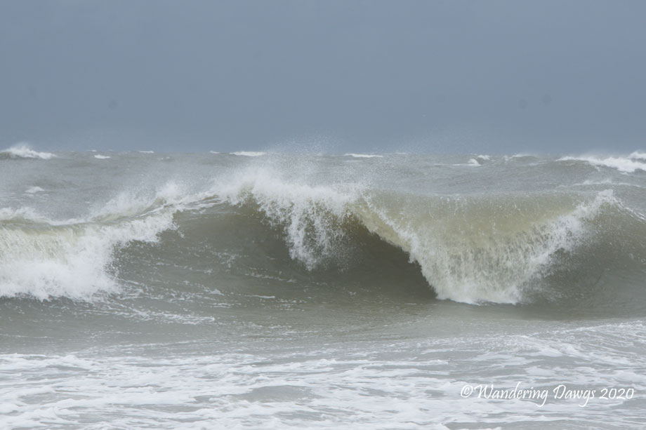 20200803-Tropical-Storm-Isaias-(28)WP