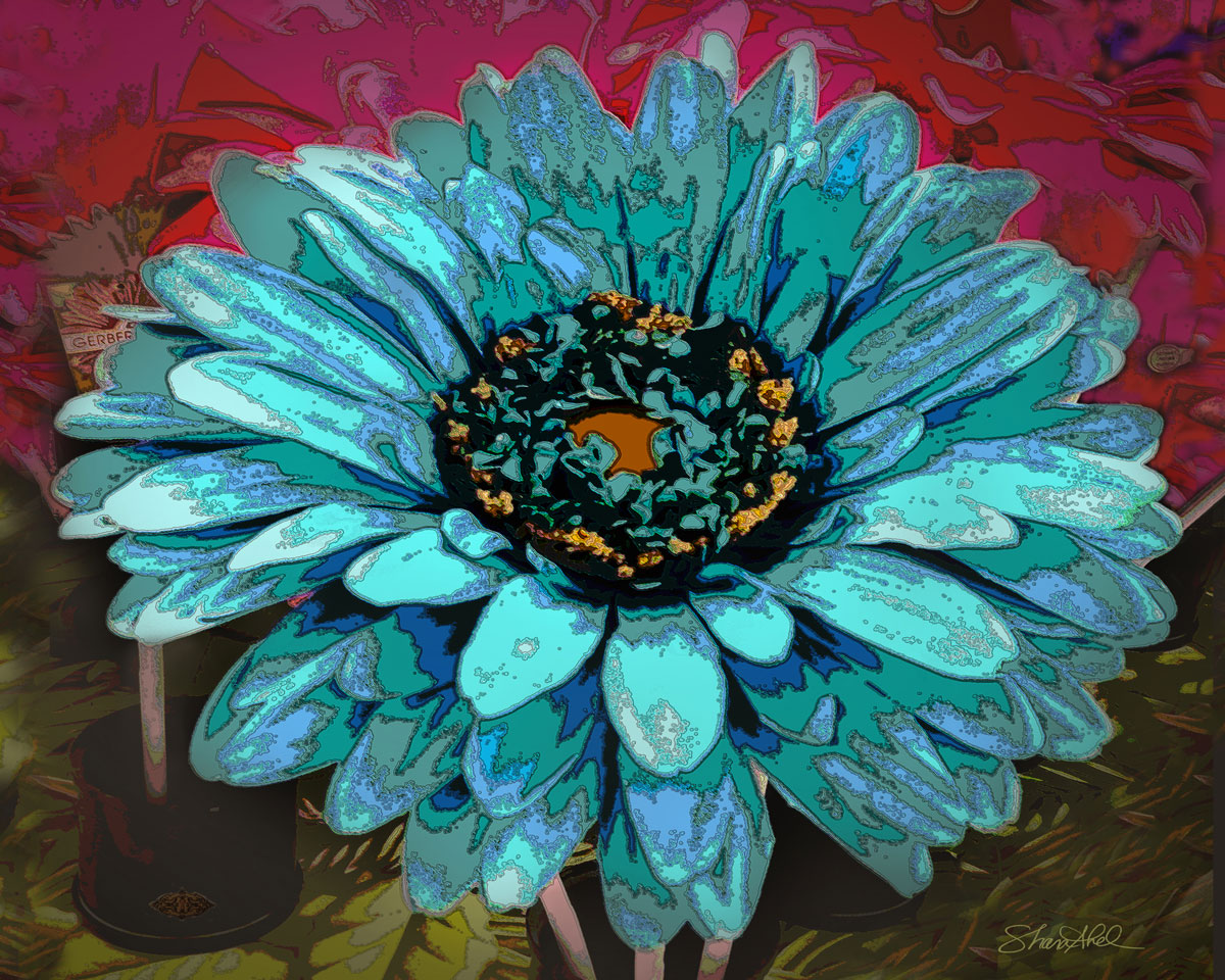 Gerber-Daisy-by-Shara-Abel-16x20-or-8x10