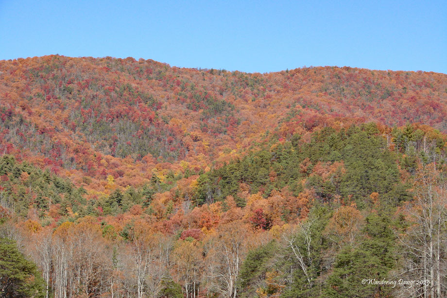 Fall Colors Cades Cove