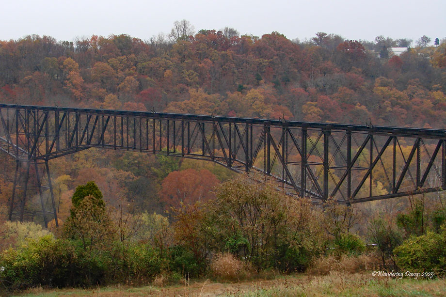 Lexington Kentucky Autumn Colors