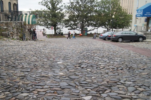 Cobblestone street, Savannah, Georgia