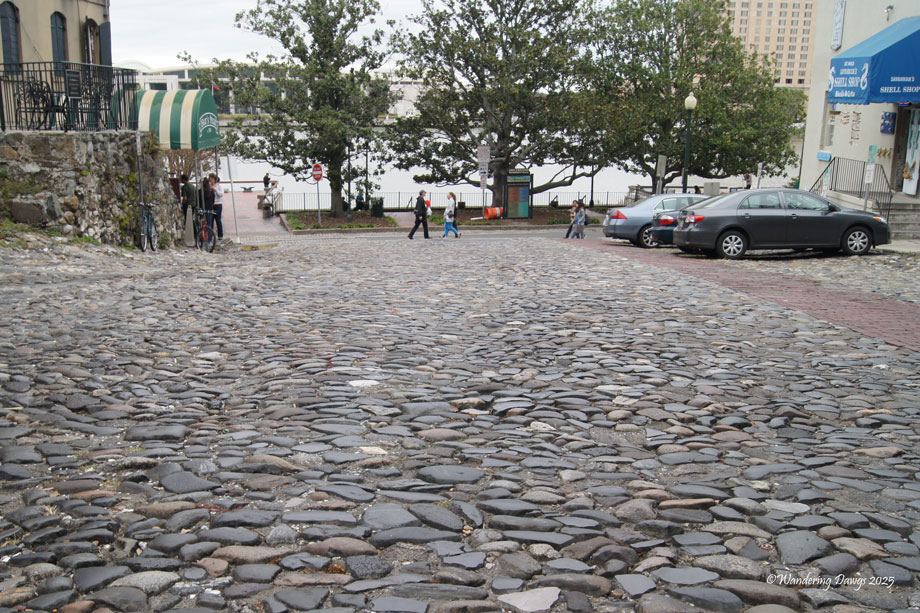Cobblestone street, Savannah, Georgia