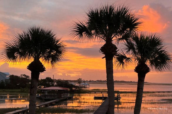 Morning in coastal Georgia