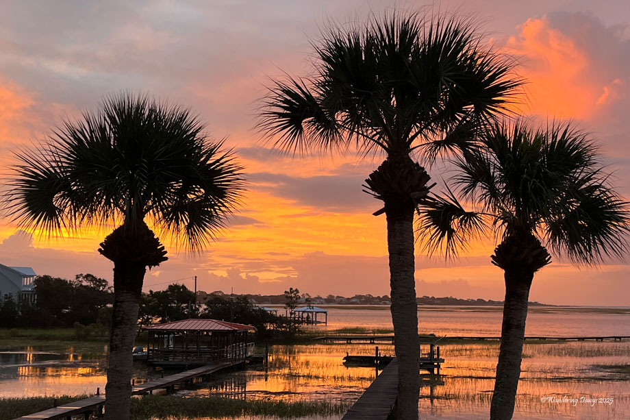 Morning in coastal Georgia