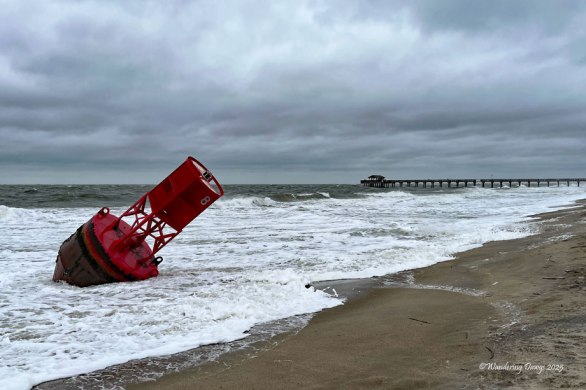 Marker Buoy on the Beach