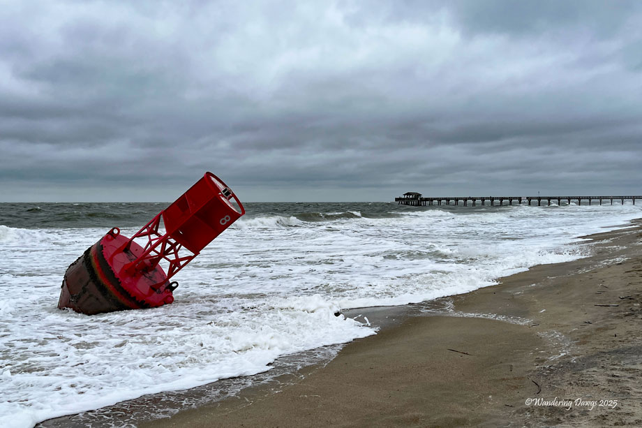Marker Buoy on the Beach