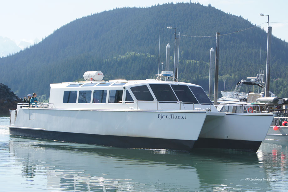 Wildlife Cruise from Haines to Juneau