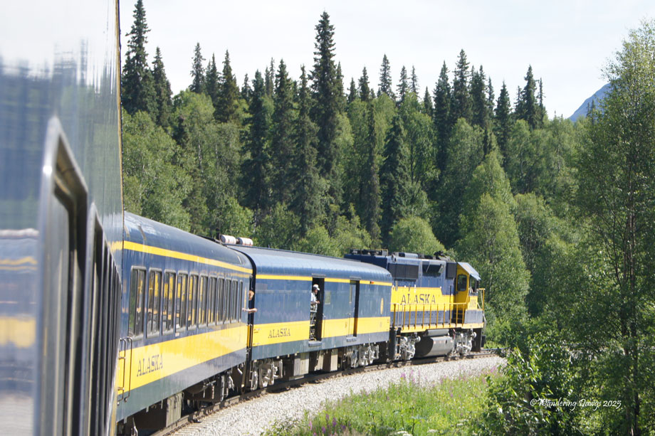 We took a ride on the Alaska Railroad