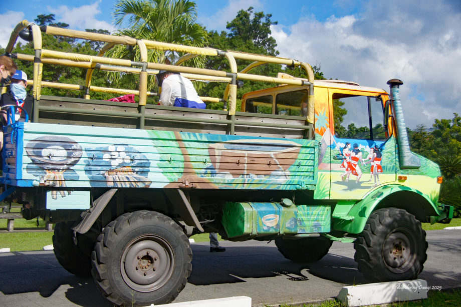 Wacky roller in Dominica