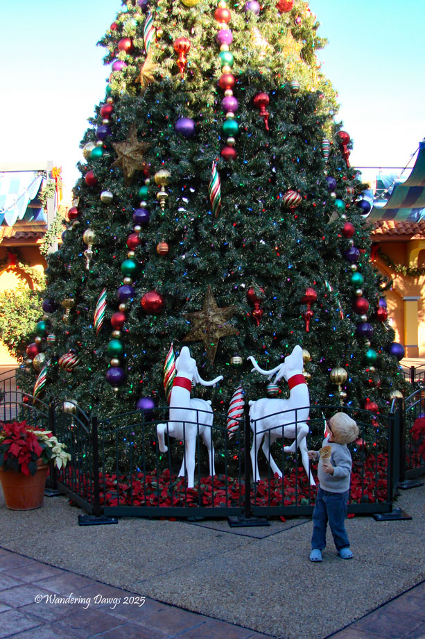 Busch Gardens, Tampa, Florida